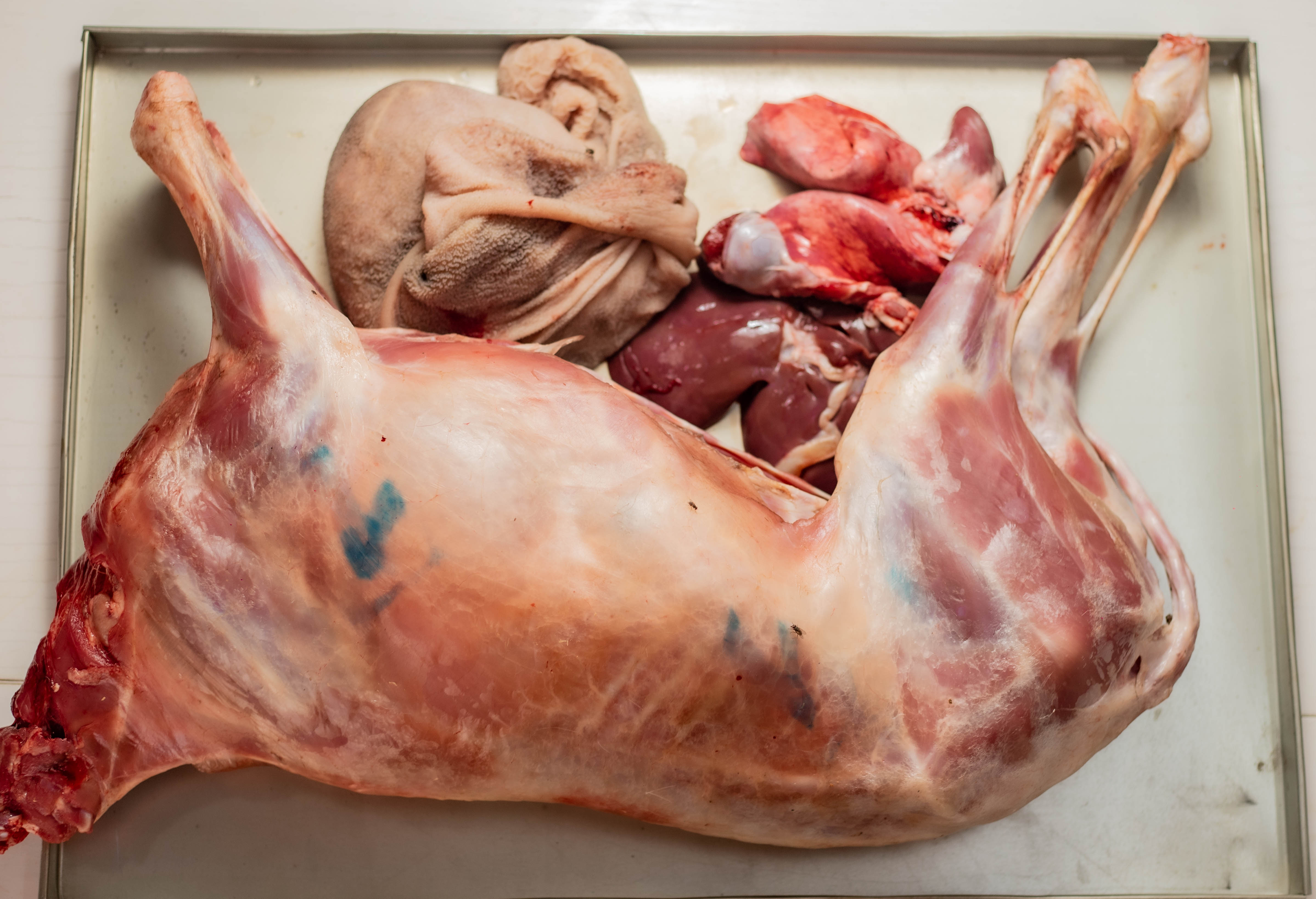 Carcasse de Mouton à partir de  [36.000 - 65.000 F]